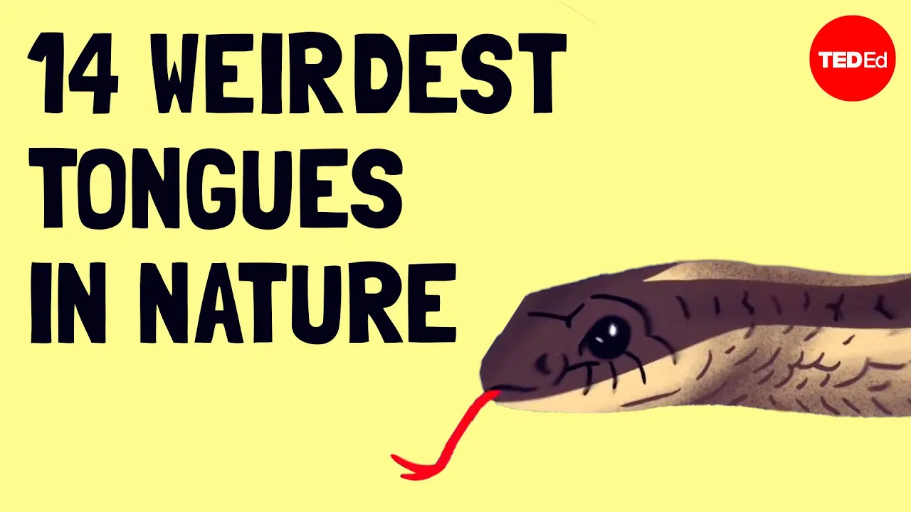 Why do snakes have forked tongues? - Cella Wright