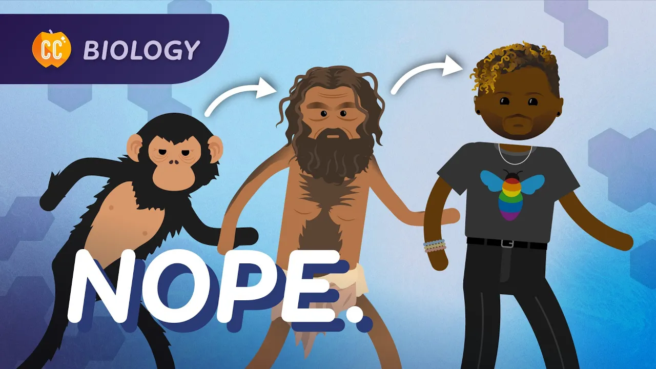 Humans Didn't Evolve From Chimps (Human Evolution): Crash Course Biology #19