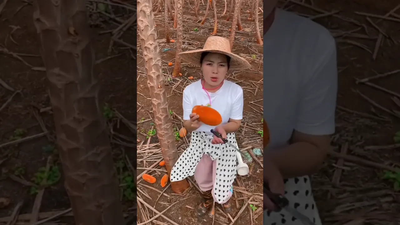 HEALTH BENEFITS OF PAWPAW INCLUDING skin health, and reducing inflammation and oxidative stress.