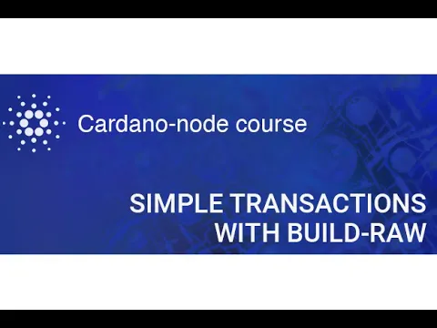 Node course | Simple transactions using the "build-raw" command