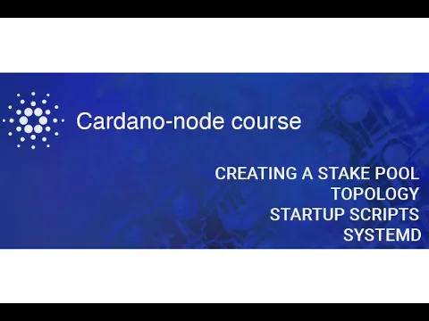 Node course | Stake pool. RTS, topology, startup script and systemd unit file