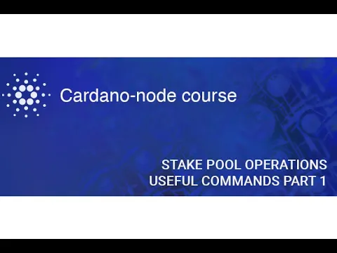 Node course | Stake pool operations. Useful commands (1)