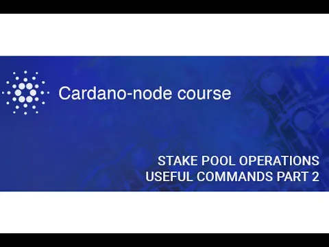 Node course | Stake pool operations. Useful commands (2)