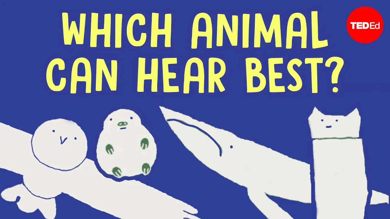 These animals can hear everything - Jakob Christensen-Dalsgaard